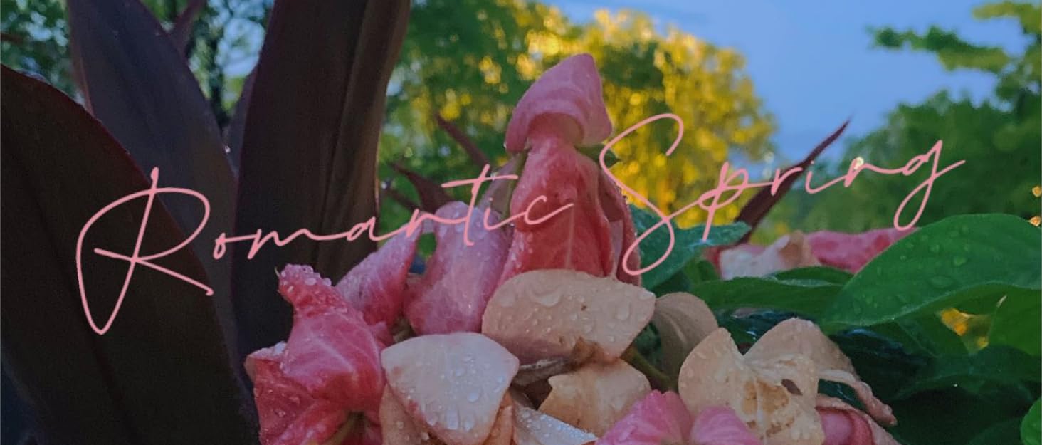 Witsmile Woman Fashion Wardrobe